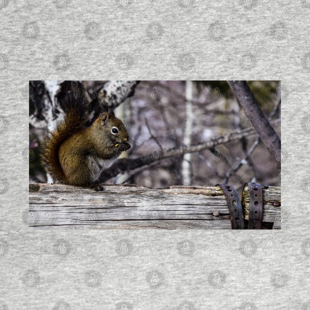 Red Squirrel on a Fence. by CanadianWild418